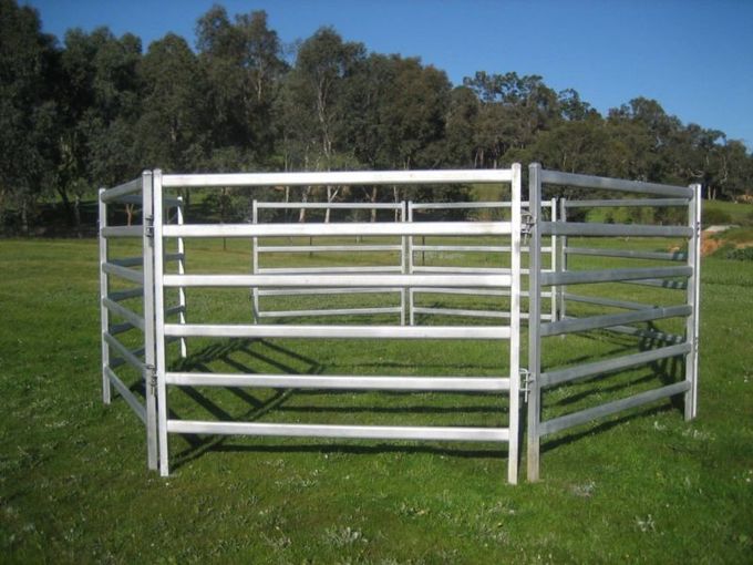 Livestock  Panels